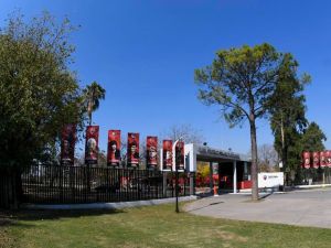 Newell’s: a la salida de los técnicos se sumaron amenazas y arrojaron una bomba molotov sobre el auto de un jugador