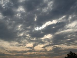 Tiempo en la ciudad: ¿Cómo estará este martes?