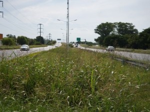 Rosario: la Justicia Federal le da 10 días a Vialidad Nacional para iluminar la Circunvalación