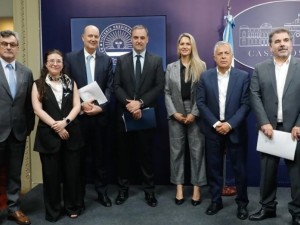 Adorni confirmó que los proyectos del Consejo de Mayo irán al Congreso