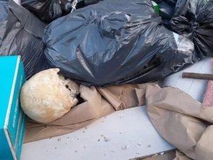 Hallan un cráneo en un volquete de Playa Grande y analizan su origen