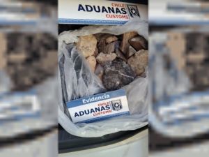 Detectaron 18 fósiles en el baúl de un auto que iba rumbo a Chile