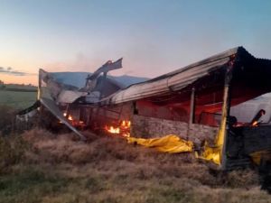 Entre Ríos: se incendió un criadero y murieron 500 cerdos