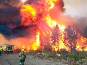 Chubut en alerta máxima: intenso operativo por incendios forestales