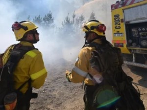 Ignacio Torres anuncia sanciones ejemplares por los incendios en Chubut