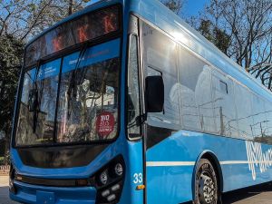 Suspenden temporalmente el servicio de la línea K por tareas de arbolado