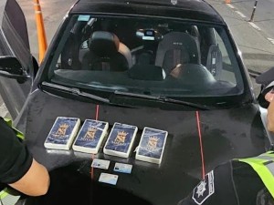 Detuvieron a un hombre que transportaba 4 kilos de cocaína en la autopista Rosario - Buenos Aires