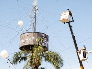 El arbolito de Oroño y Pellegrini se ilumina para celebrar una nueva Navidad rosarina